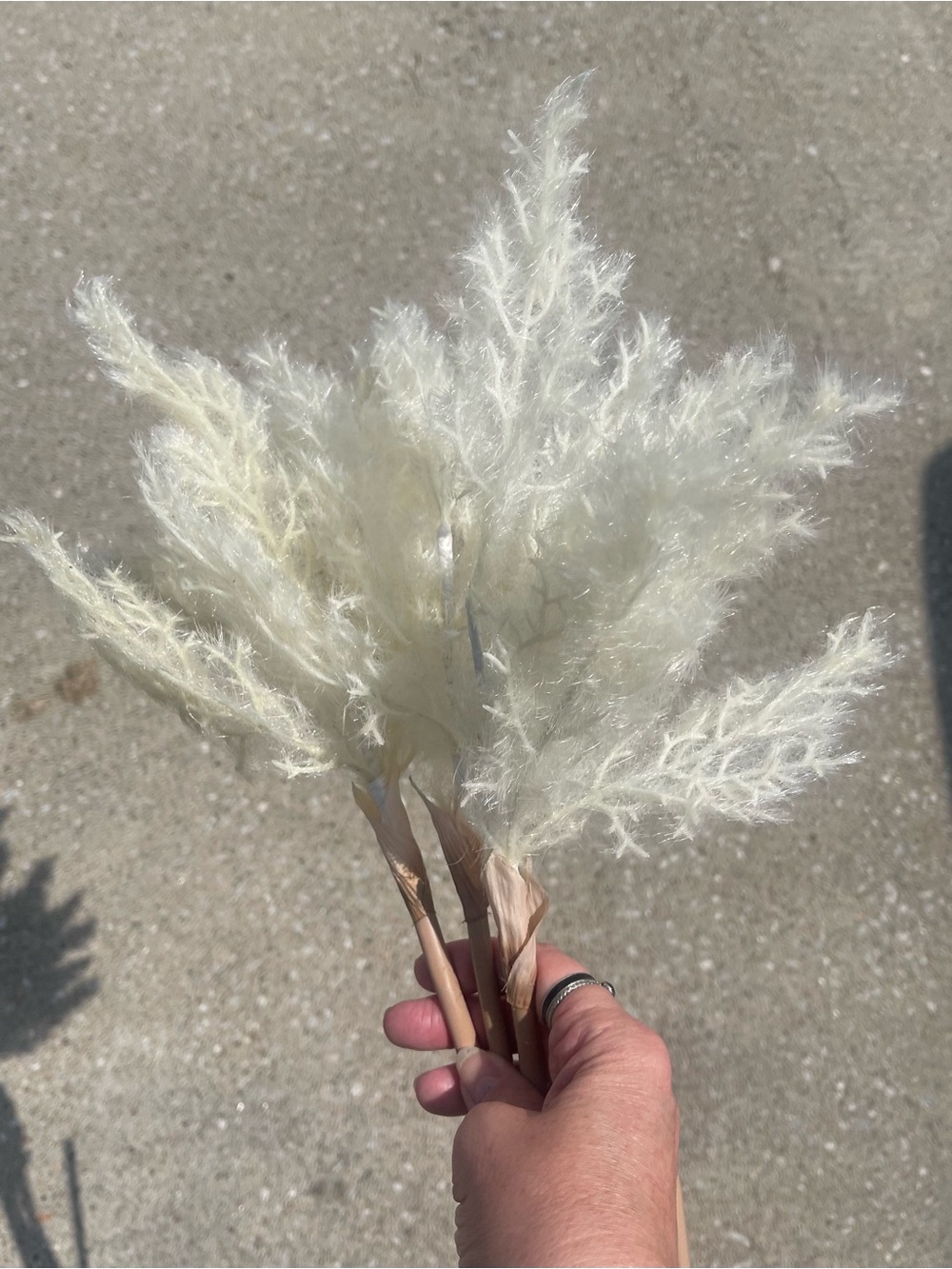 Decorative Cream Pampas Grass Bouquet - Neutral Home Accent